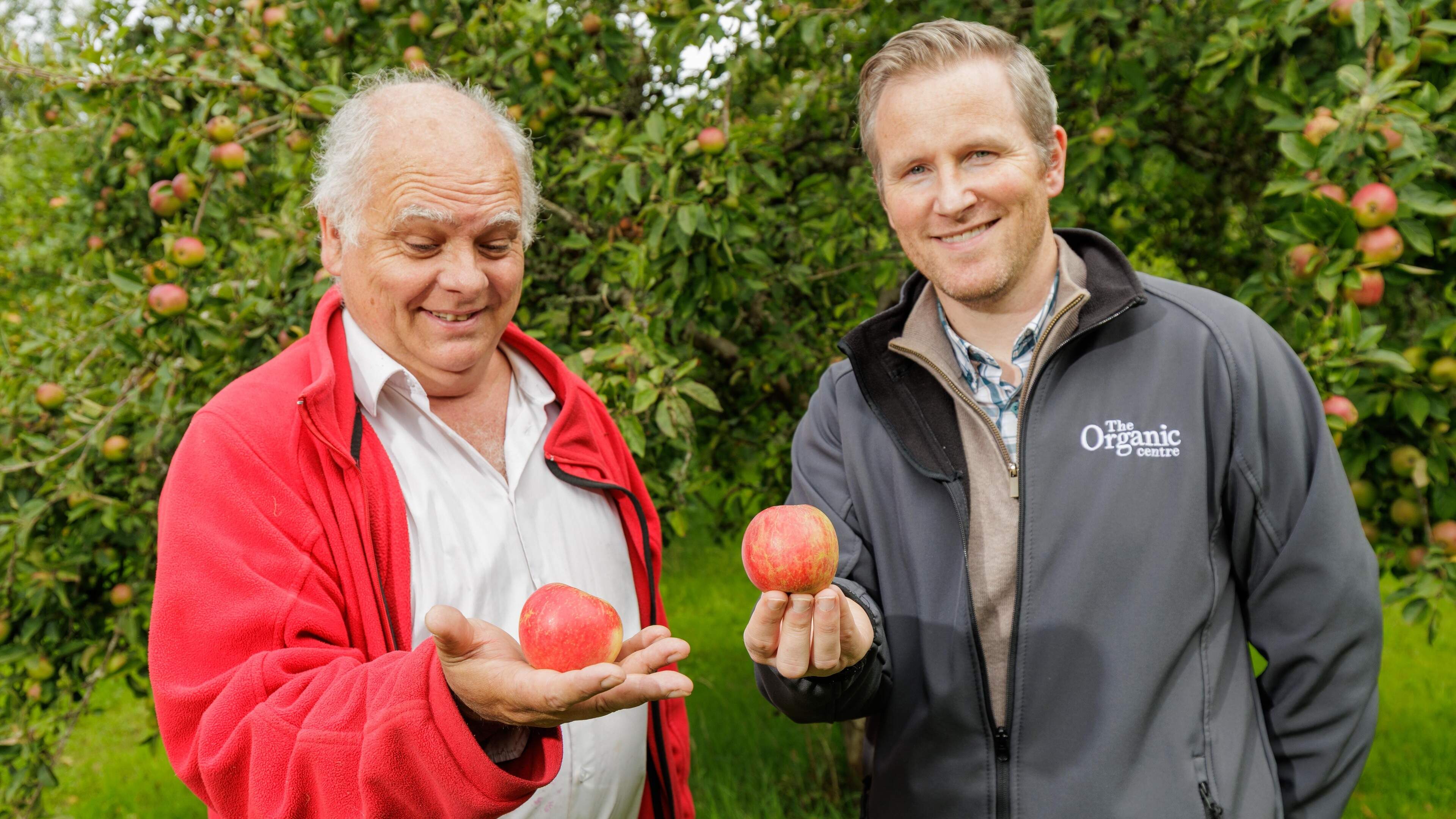 Apple Day at The Organic Centre expands to two-day festival with packed programme of talks, crafts and family events